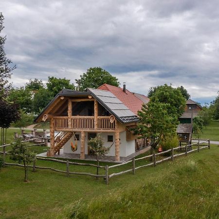 Holiday Home Virida, App Leopold III Ivancna Gorica Dış mekan fotoğraf