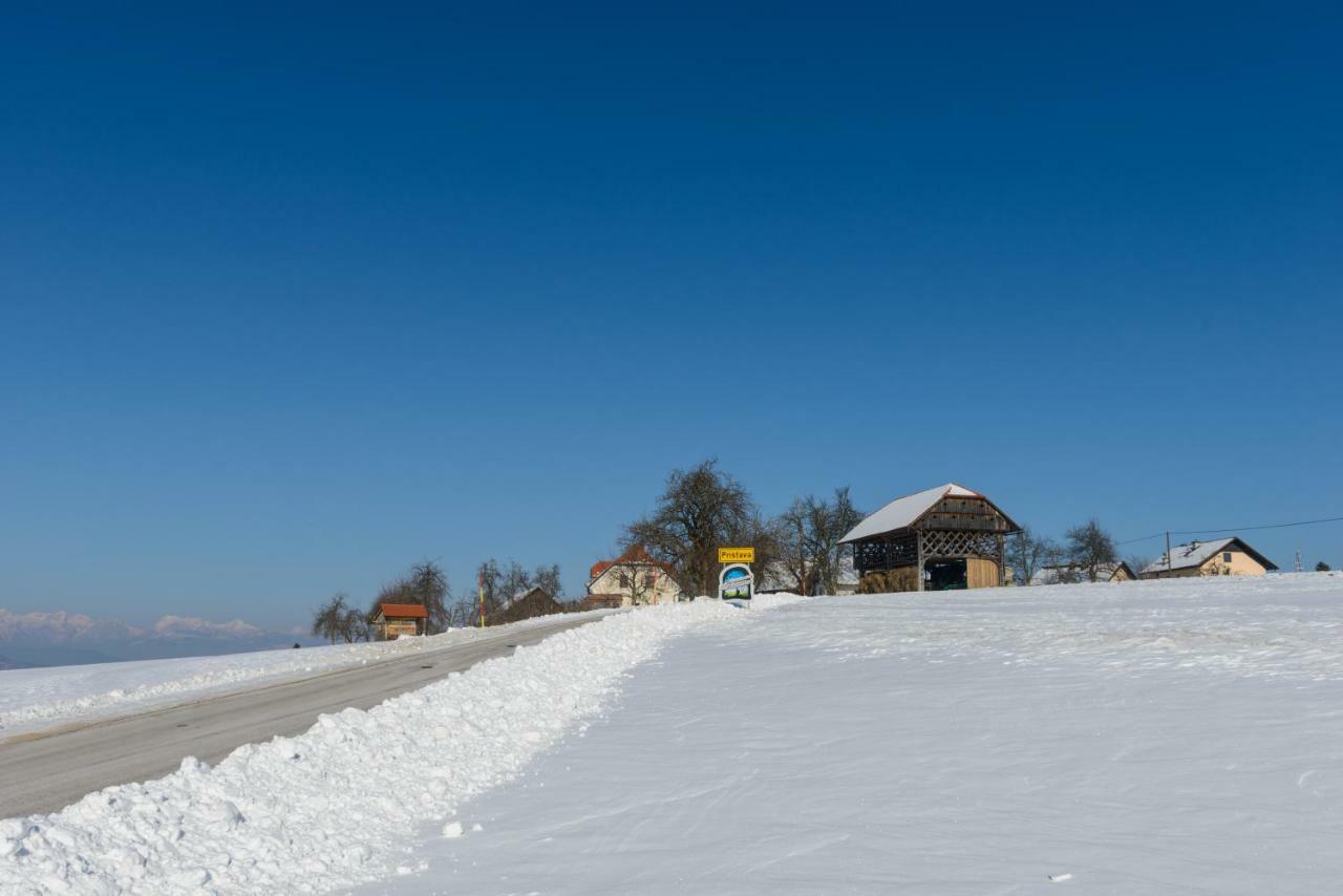 Holiday Home Virida, App Leopold III Ivancna Gorica Dış mekan fotoğraf