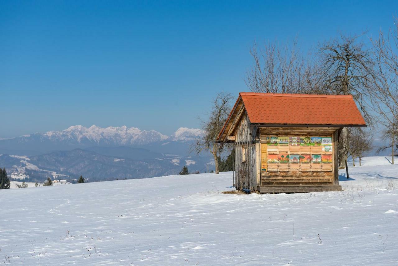 Holiday Home Virida, App Leopold III Ivancna Gorica Dış mekan fotoğraf