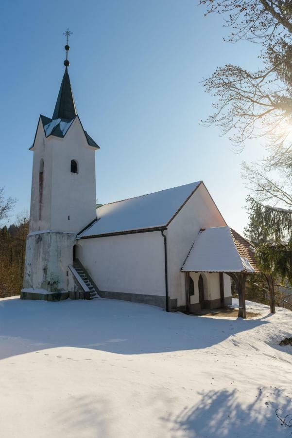 Holiday Home Virida, App Leopold III Ivancna Gorica Dış mekan fotoğraf